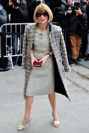 ამ სურათს აქვს ცარიელი alt ატრიბუტი; ფაილის სახელი: anna_wintour.jpg